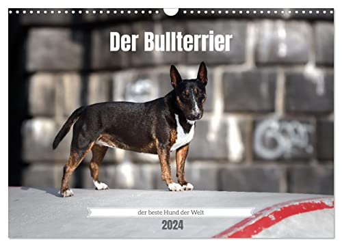 Der Bullterrier der beste Hund der Welt (Wandkalender 2024 DIN A3 quer), CALVENDO Monatskalender von CALVENDO