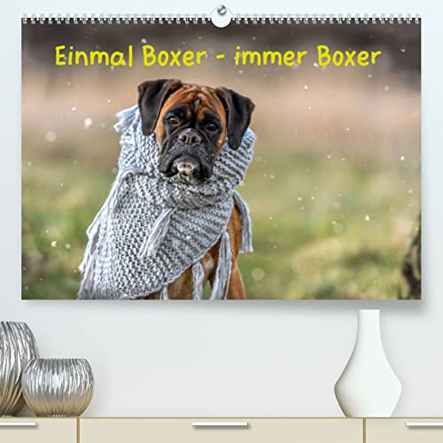 Einmal Boxer - immer Boxer (hochwertiger Premium Wandkalender 2024 DIN A2 quer), Kunstdruck in Hochglanz