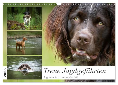 Treue Jagdgefährten - Jagdhunderassen im Portrait (Wandkalender 2025 DIN A3 quer), CALVENDO Monatskalender