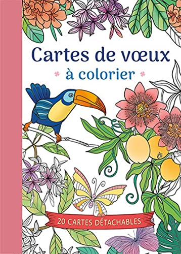 Cartes de voeux à colorier: 20 cartes détachables Cartes de voeux à colorier: 20 cartes détachables