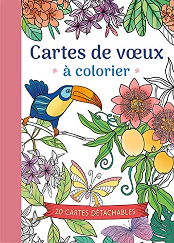 Cartes de voeux à colorier: 20 cartes détachables