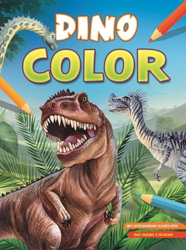 Dino color kleurblok / Dino color Bloc de coloriage von Zuidnederlandse Uitgeverij (ZNU)