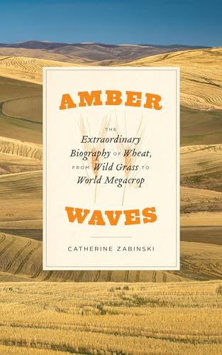 Amber Waves: The Extraordinary Biography of Wheat, from Wild Grass to World Megacrop