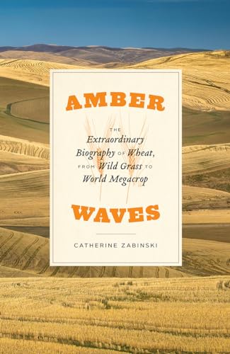 Amber Waves: The Extraordinary Biography of Wheat, from Wild Grass to World Megacrop von University of Chicago Press