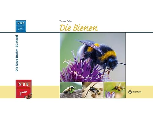 Die Bienen (NBB junior) von MILITZKE VERLAG GMBH