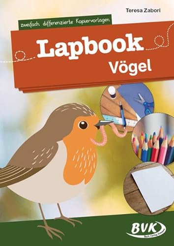 Lapbook Vögel: zweifach differenzierte Kopiervorlagen (Lapbooks) | Kreativer Sachunterricht 1./2. Klasse (BVK Lapbooks)