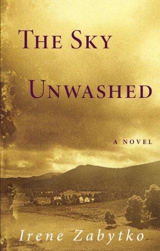 The Sky Unwashed: A Novel von Workman Publishing