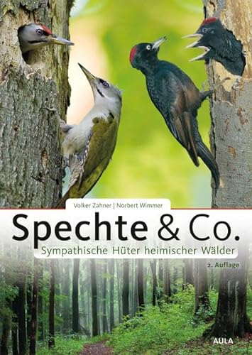 Spechte & Co.: Sympathische Hüter heimischer Wälder von AULA-Verlag