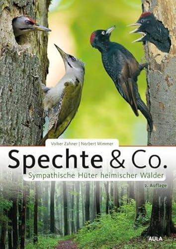 Spechte & Co.: Sympathische Hüter heimischer Wälder
