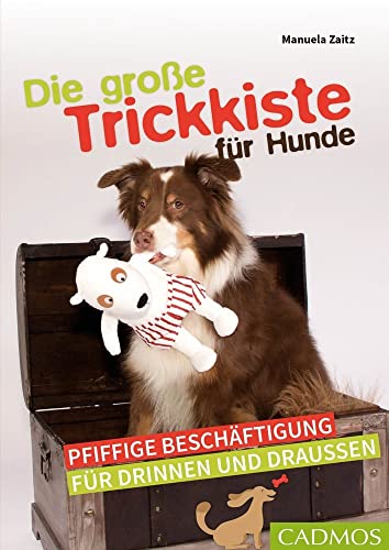 Die große Trickkiste für Hunde: Pfiffige Beschäftigung für drinnen und draußen