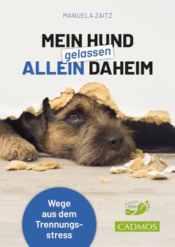 Mein Hund gelassen allein daheim: Wege aus dem Trennungsstress