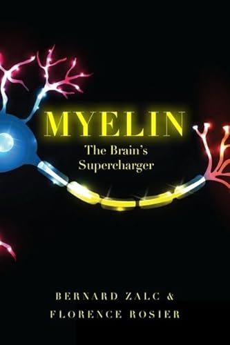 Myelin: The Brain's Supercharger von OUP USA