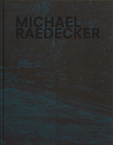Michael Raedecker: everything but not everything (Arte) von Phaidon Press