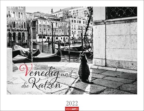 Venedig und die Katzen Kalender 2022 von Marianna Zampieri - Tierkalender - Wandkalender mit internationalem Monatskalendarium - 12 Schwarz-weiß-Fotos - 44 x 34 cm von Harenberg u.Weingarten