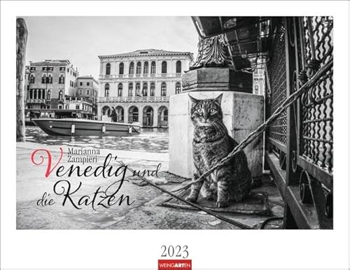 Venedig und die Katzen Kalender 2023. Samtpfoten in der Lagunenstadt, eingefangen in einem großen Wandkalender in schwarz-weiß. Hochwertiger Fotokalender im Großformat für Katzenliebhaber. von Harenberg u.Weingarten
