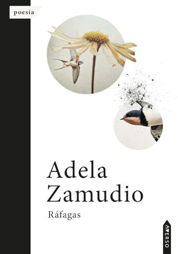 Ráfagas (Colección Averso, Band 36) von Averso Poesía