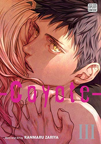 Coyote, Vol. 3 (COYOTE GN, Band 3)