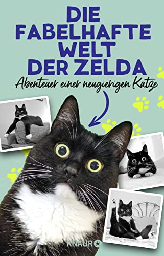 Die fabelhafte Welt der Zelda: Abenteuer einer neugierigen Katze von Droemer Knaur*