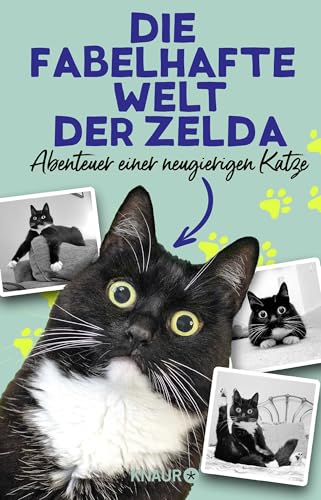 Die fabelhafte Welt der Zelda: Abenteuer einer neugierigen Katze Die fabelhafte Welt der Zelda: Abenteuer einer neugierigen Katze von Droemer Knaur*