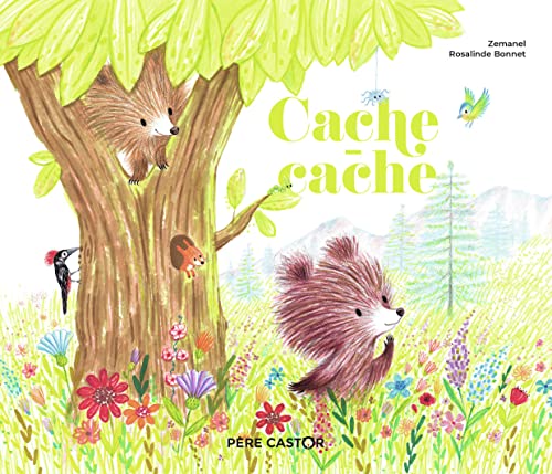 Cache-cache von PERE CASTOR