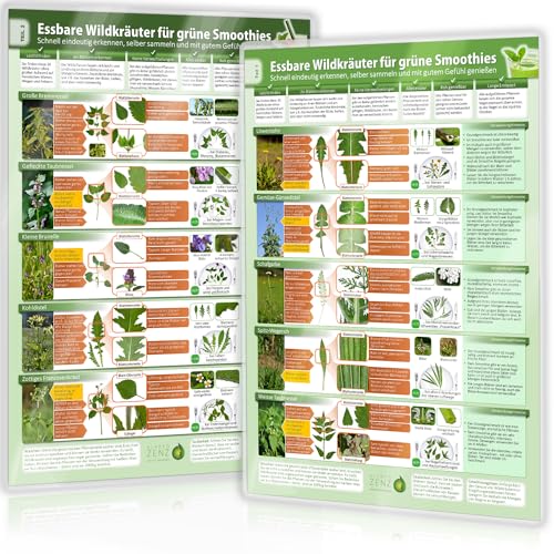 [2er Set] Essbare Wildkräuter für Grüne Smoothies - Erkennungskarten Teil 1&2 (2024) – Natürliche Frische erleben - Erkunde, sammle und genieße ... selber sammeln und mit gutem Gefühl genießen)