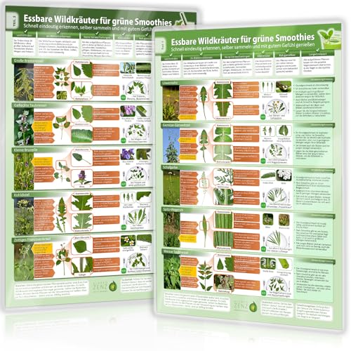 [2er Set] Essbare Wildkräuter für Grüne Smoothies - Erkennungskarten Teil 1&2 (2024) – Natürliche Frische erleben - Erkunde, sammle und genieße ... ... selber sammeln und mit gutem Gefühl genießen)