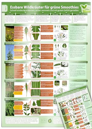 Essbare Wildkräuter für Grüne Smoothies - Erkennungskarte Teil 1 - Natürliche Frische erleben (2024) – Erkunde, sammle und genieße essbare Wildkräuter ... selber sammeln und mit gutem Gefühl genießen)