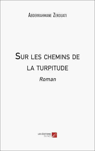 Sur les chemins de la turpitude: Roman von DU NET