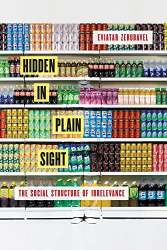 Hidden in Plain Sight: The Social Structure of Irrelevance von Oxford University Press