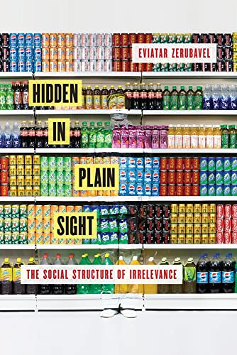 Hidden in Plain Sight: The Social Structure of Irrelevance von Oxford University Press, USA