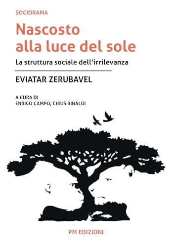 Nascosto alla luce del sole: La struttura sociale dell’irrilevanza Nascosto alla luce del sole: La struttura sociale dell’irrilevanza von PM edizioni