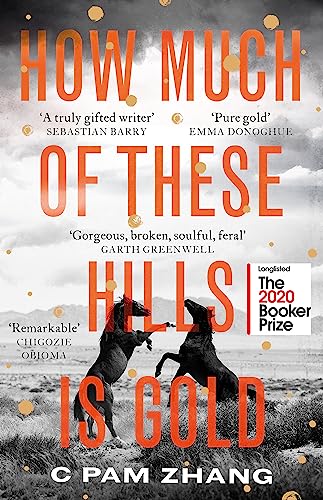 How Much of These Hills is Gold: 'A tale of two sisters during the gold rush ... beautifully written' The i, Best Books of the Year von Little, Brown Book Group