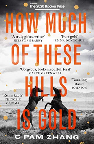 How Much of These Hills is Gold: Longlisted for the Booker Prize 2020