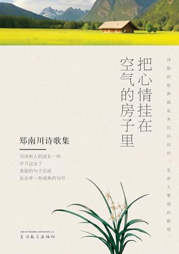 把心情挂在空气的房子里: 郑南川诗歌集 von Dixie W Publishing Corporation