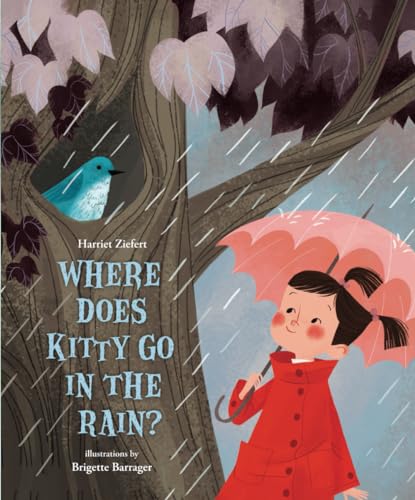 Where Does Kitty Go in the Rain? von Blue Apple Books