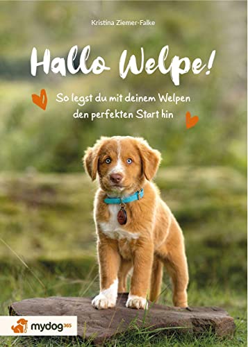Hallo Welpe!: So legst du mit deinem Welpen den perfekten Start hin von zsr Verlag