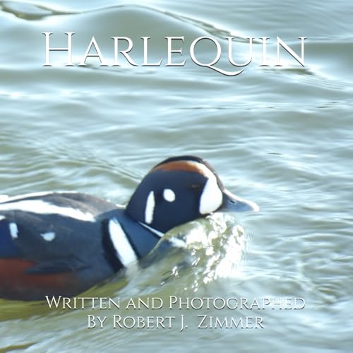 Harlequin von Independently published