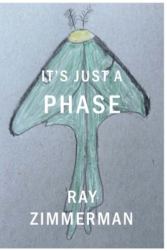 It's Just A Phase von Walnut Street Publishing