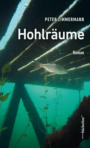 Hohlräume von edition bücherlese