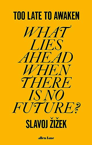 Too Late to Awaken: What Lies Ahead When There is No Future? von Allen Lane