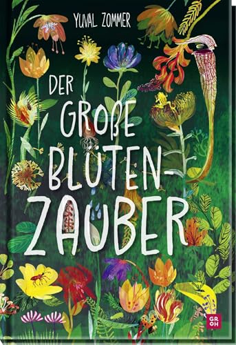 Der große Blütenzauber: Großformatiges All-Age-Bilderbuch mit fantastischen Illustrationen und spannenden Fakten (Geschenke für Naturliebhaber und Gartenfreunde) von Groh