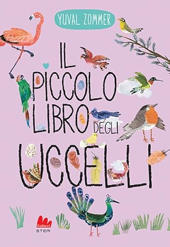 Il piccolo libro degli uccelli. Ediz. a colori (STEM) von Gallucci