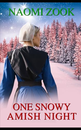 One Snowy Amish Night von Independently published