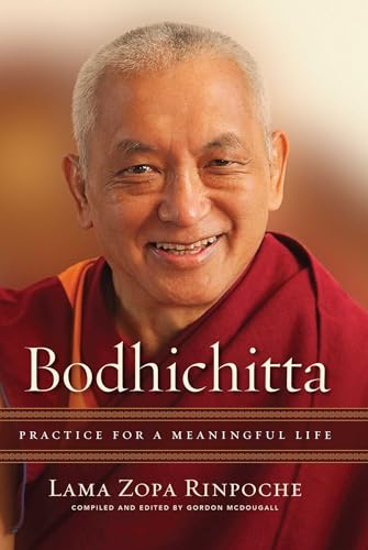 Bodhichitta: Practice for a Meaningful Life von Wisdom Publications