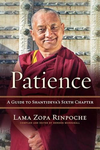 Patience: A Guide to Shantideva's Sixth Chapter von Wisdom Publications