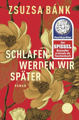 Schlafen werden wir später: Roman