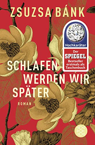 Schlafen werden wir später: Roman