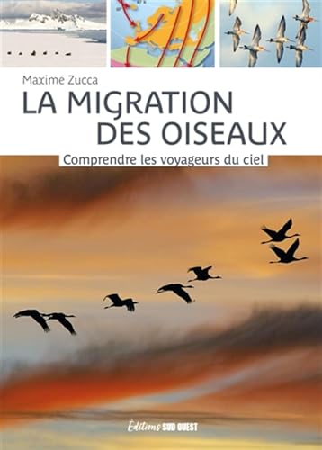 La migration des oiseaux: Comprendre les voyageurs du ciel La migration des oiseaux: Comprendre les voyageurs du ciel von SUD OUEST