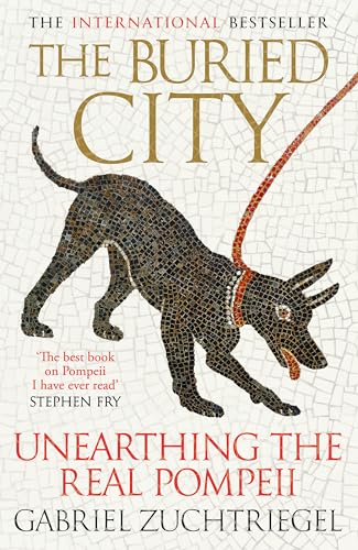 The Buried City: Unearthing the Real Pompeii The Buried City: Unearthing the Real Pompeii von Hodder Press