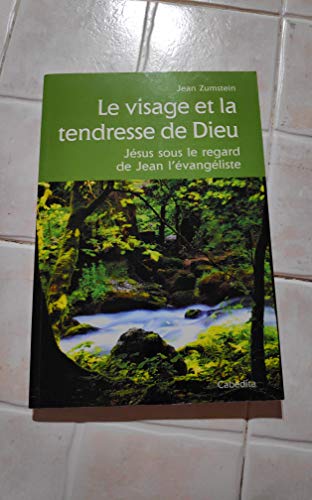 Le Visage et la Tendresse de Dieu: Jésus sous le regard de Jean l'évangéliste